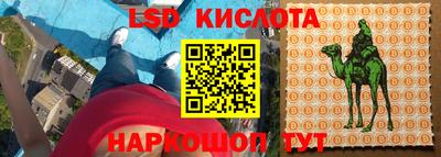 гашик Новокубанск