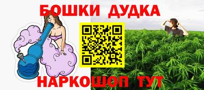 гашик Новокубанск